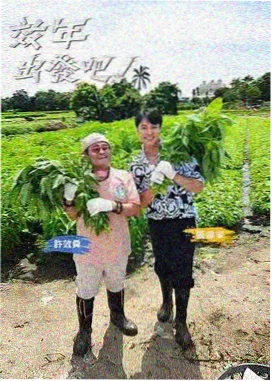 综艺旧档《百万富翁》修复剧照